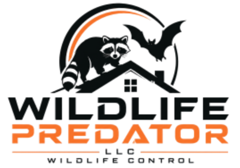 Logo Wildlife Predator